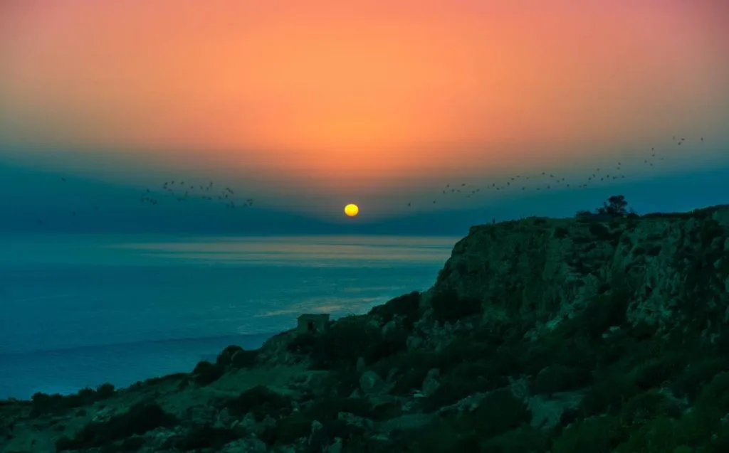 dingli malte