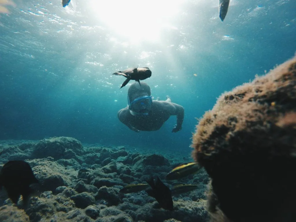 7 destinations de rêve pour profiter du soleil 9 îles Canaries