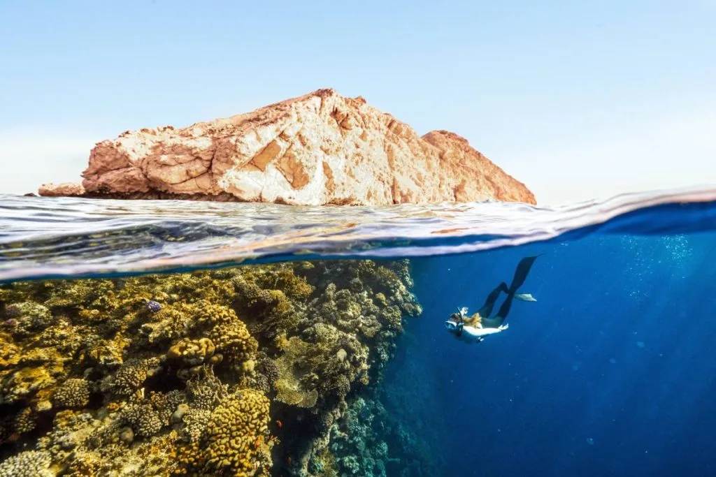 plongée sous marine corse