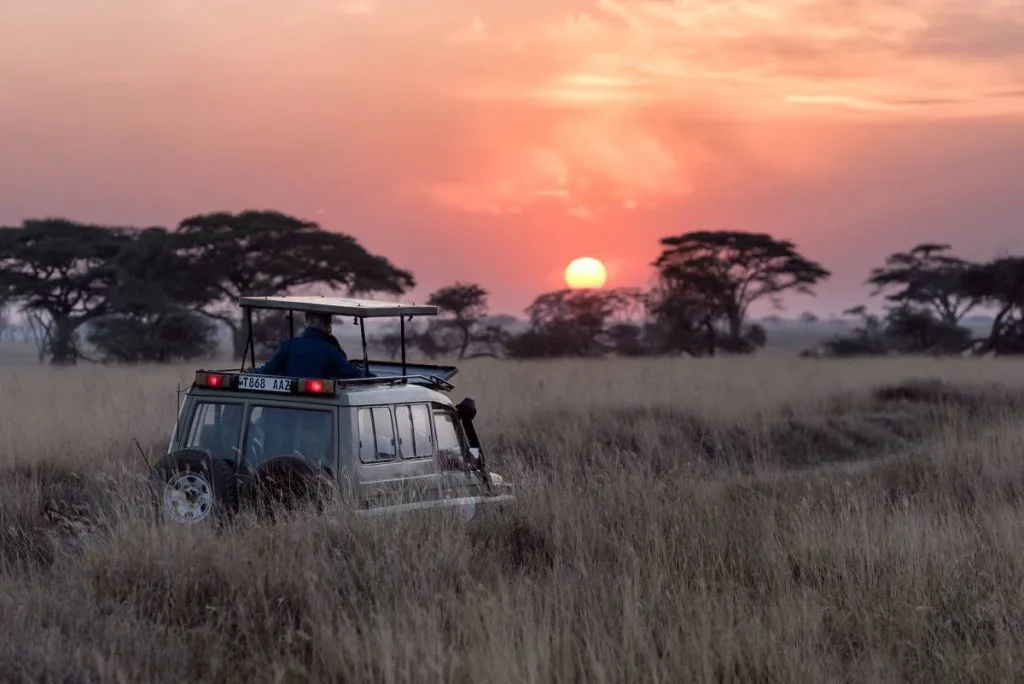 safari tanzanie (2)