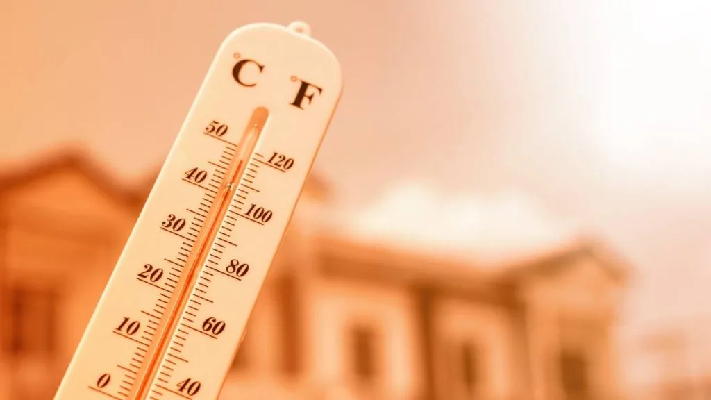 canicule (2)