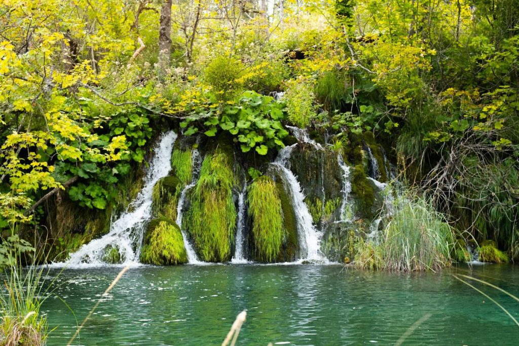 Le-parc-national-des-lacs-de-Plitvice-Croatie.jpg
