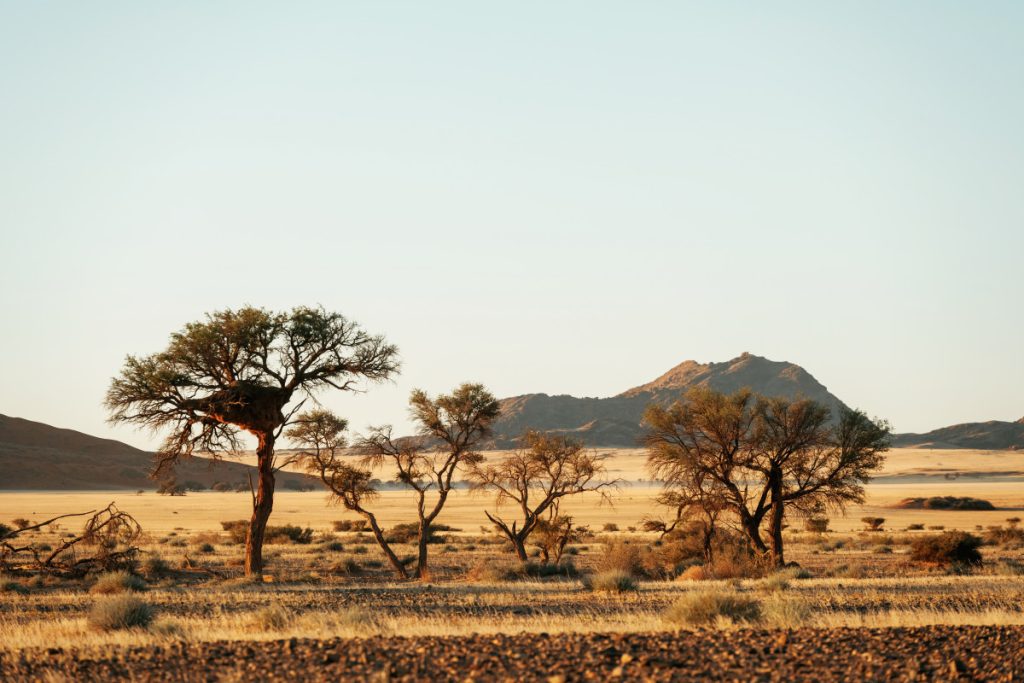 vue-majestueuse-sur-des-paysages-incroyables-dans-le-desert-africain