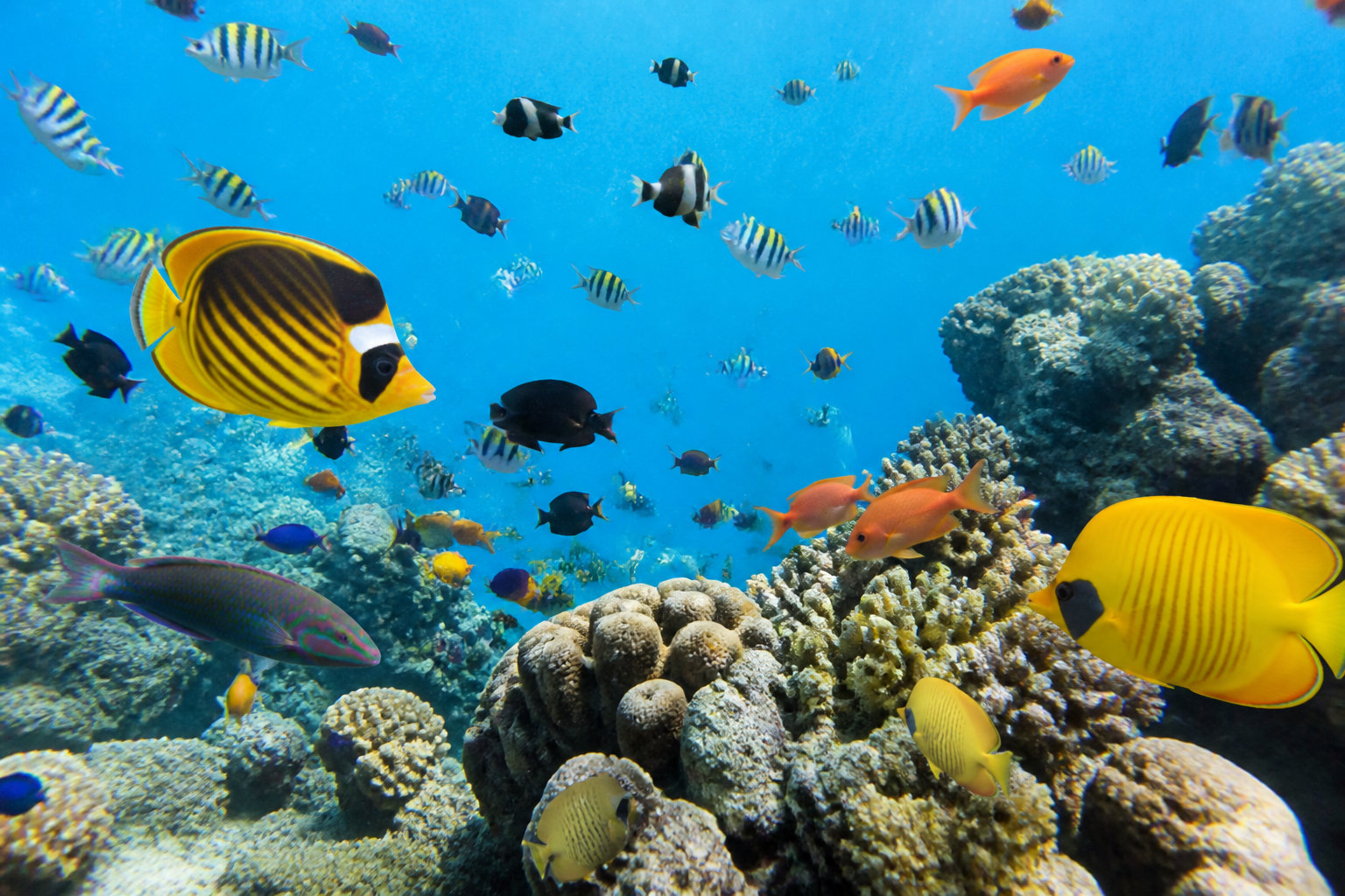 3 destinations idéales pour un itinéraire en août