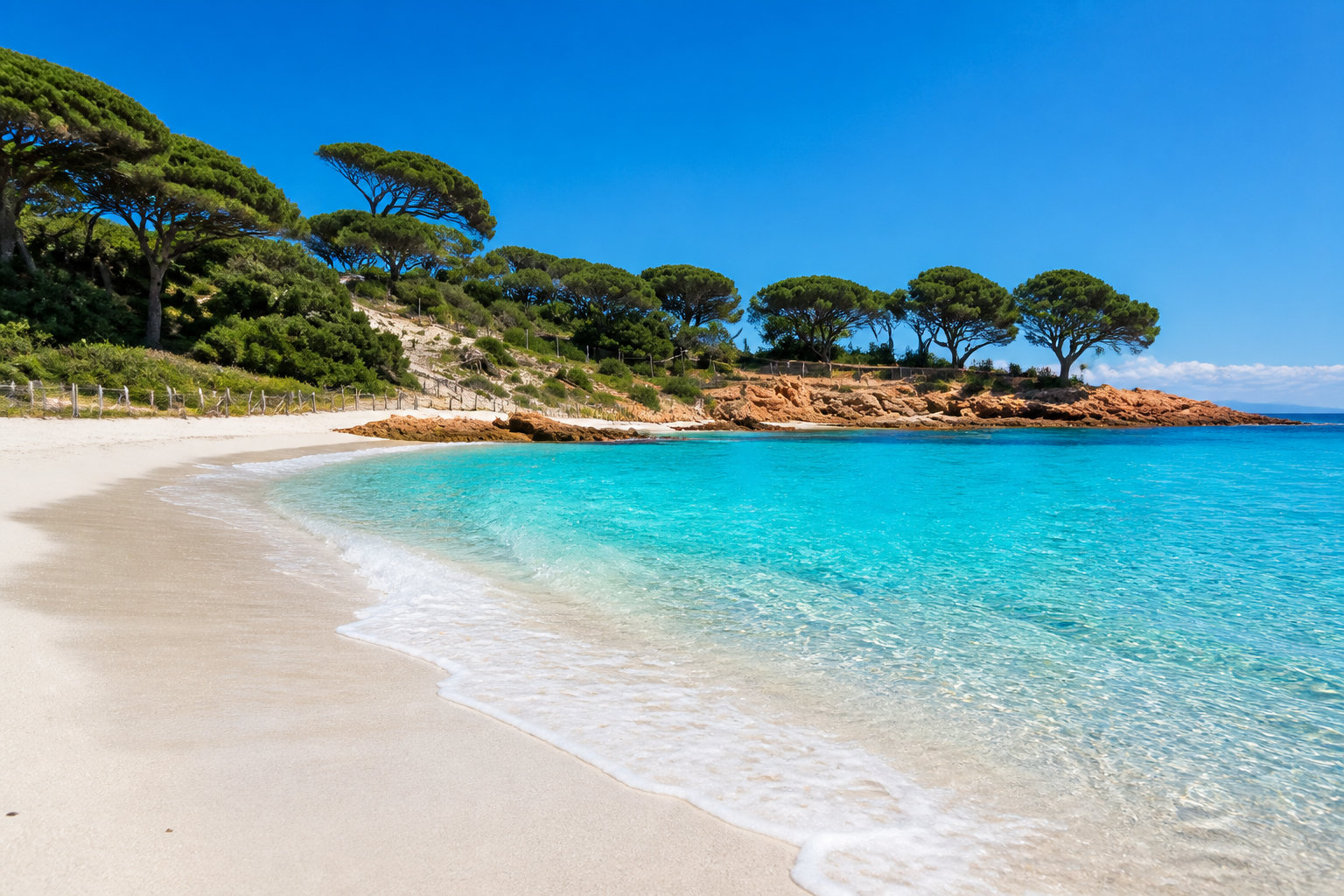 La plage de Palombaggia : détente entre pins parasols et mer turquoise