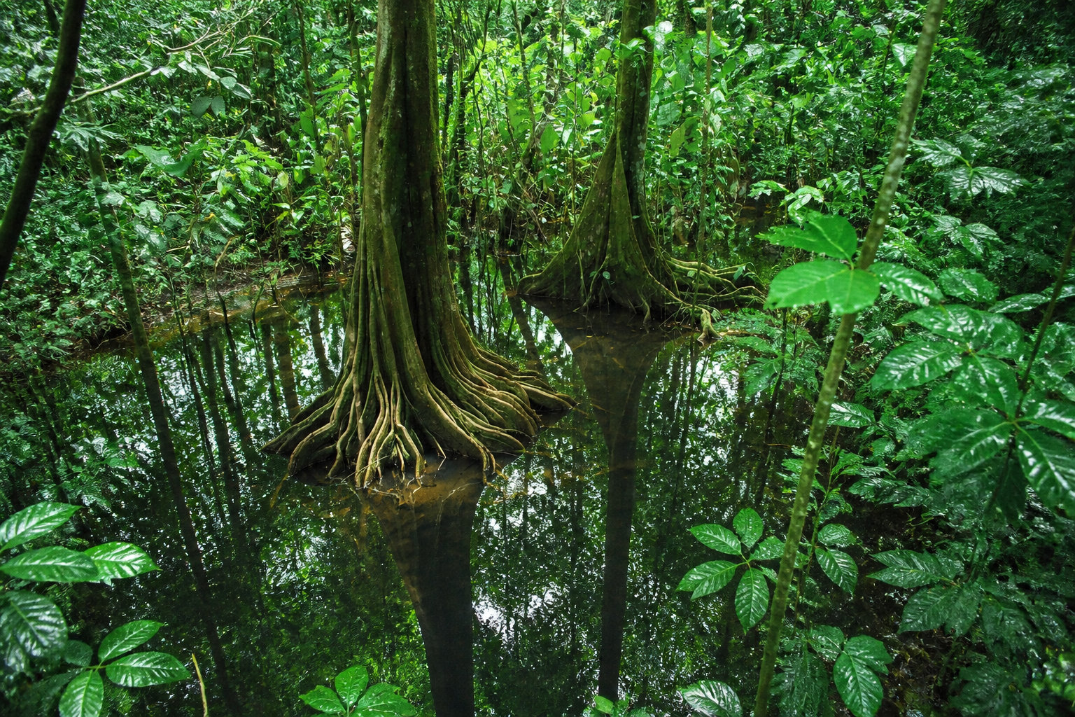 Costa Rica : aventure sécurisée en terre tropicale
