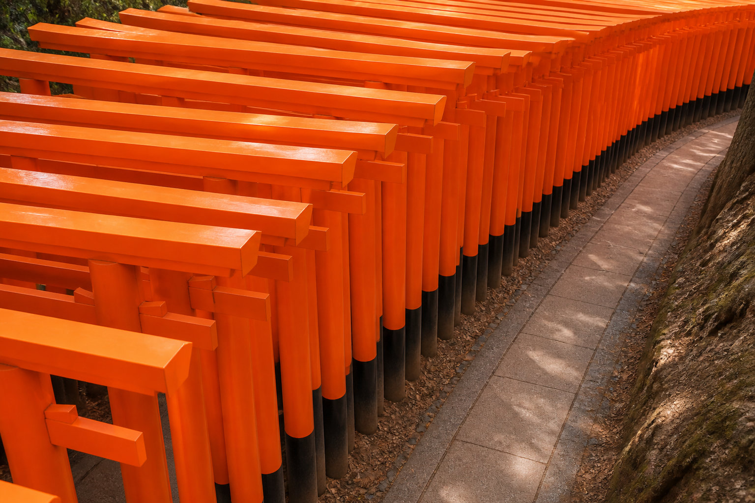 Kyoto et Nara : immersion dans le Japon éternel