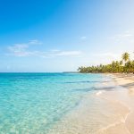 Une plage de sable blanc bordée de cocotiers avec une mer turquoise sous un ciel bleu dégagé.